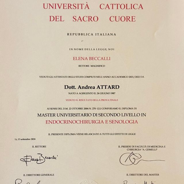 Ingrandire l'immagine: certificate 4