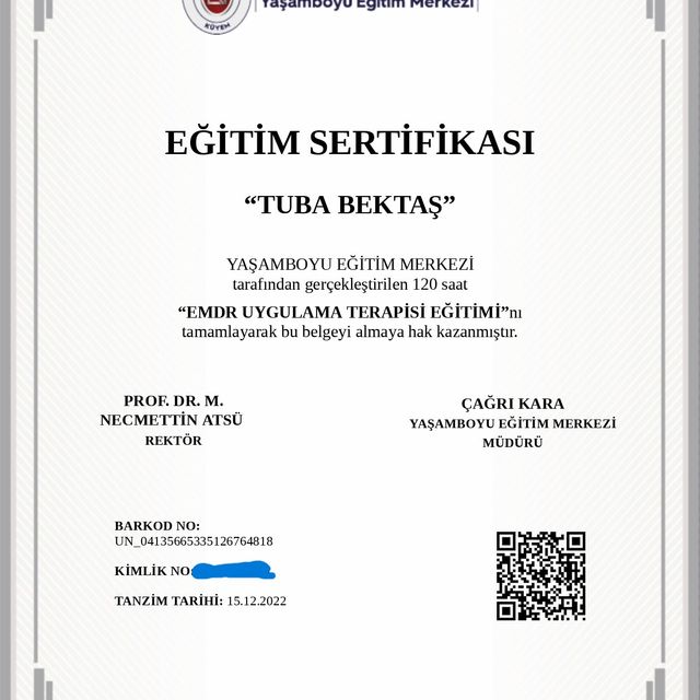 Resmi büyüt: certificate 9
