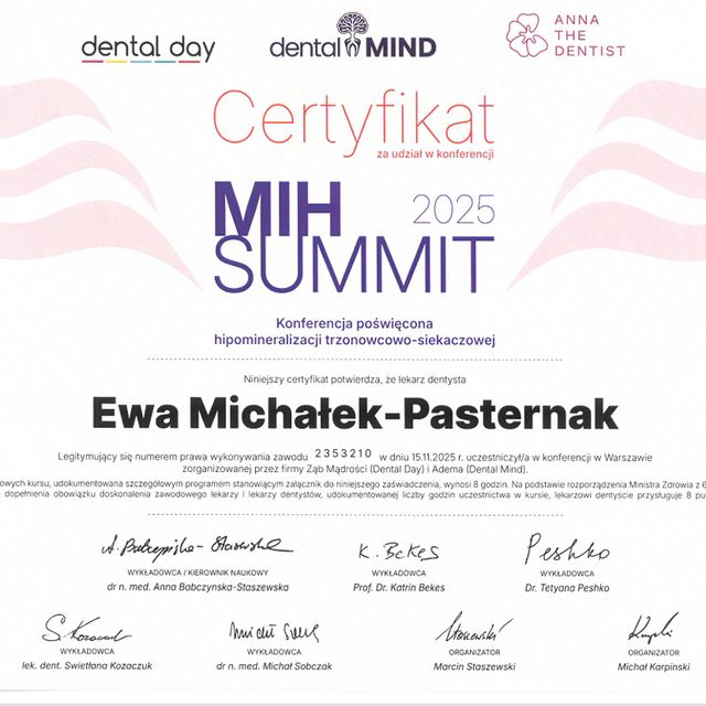 Powiększ obraz: certificate 1