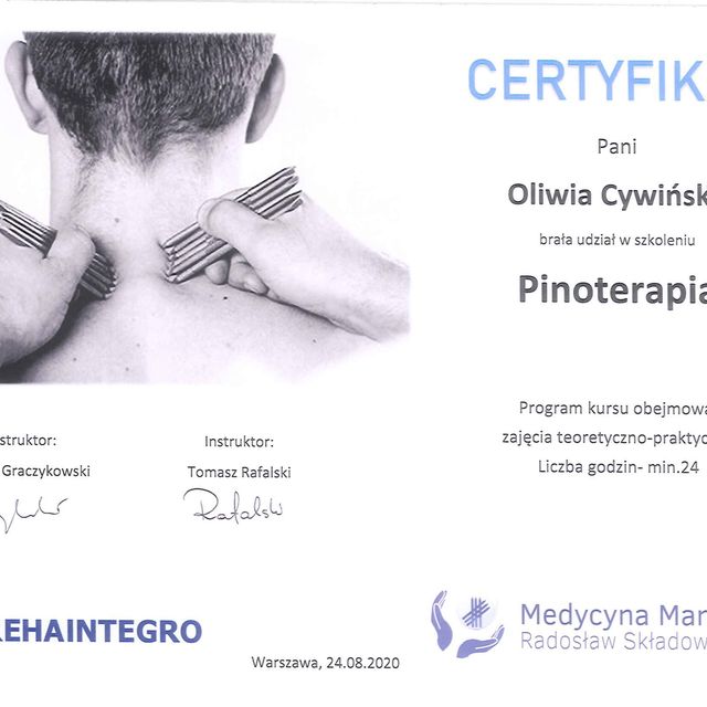 Powiększ obraz: certificate 1