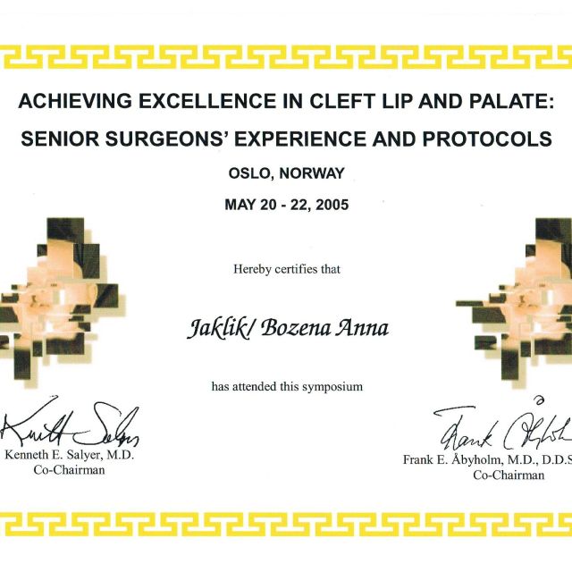 Powiększ obraz: certificate 11