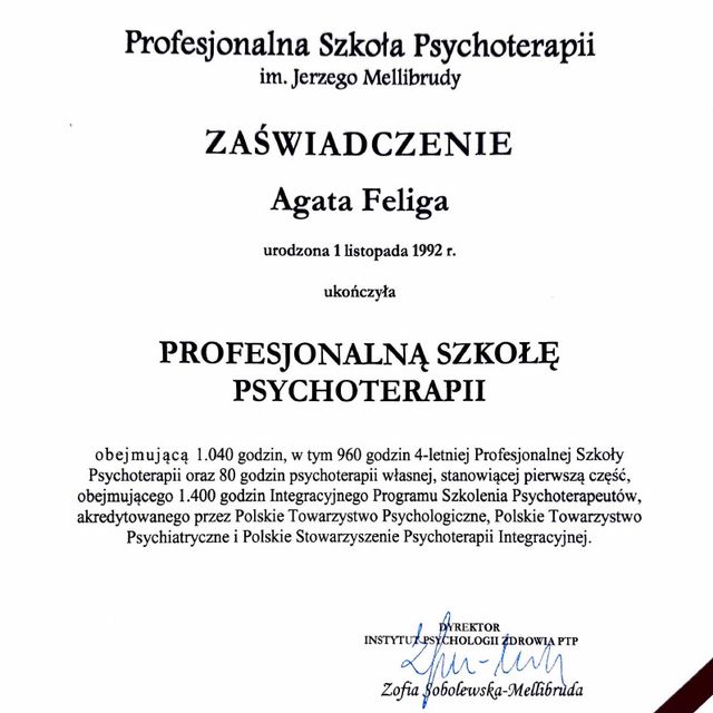 Powiększ obraz: certificate 1