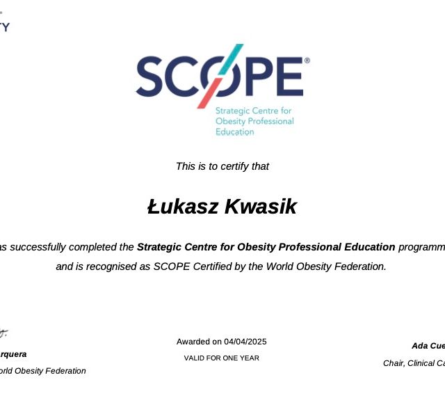 Powiększ obraz: certificate 2