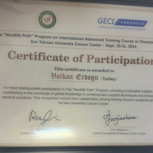 Resmi büyüt: certificate 9