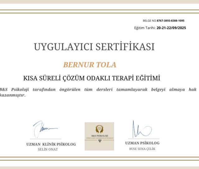Resmi büyüt: certificate 11