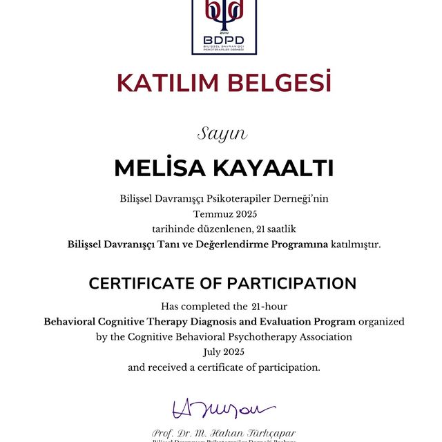 Resmi büyüt: certificate 4