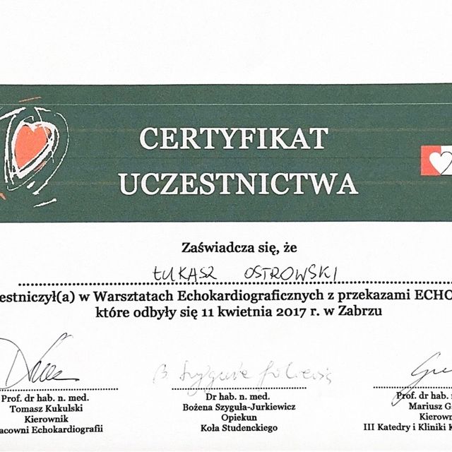 Powiększ obraz: certificate 6