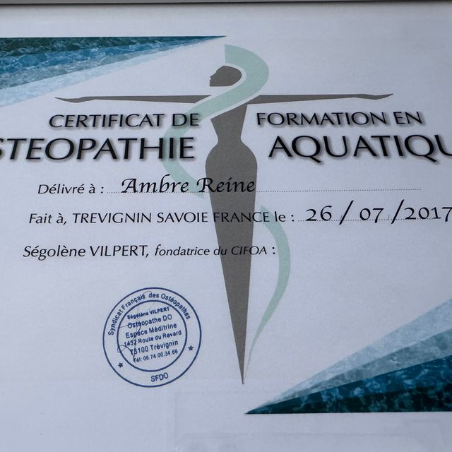 Ampliar imagem: certificate 4