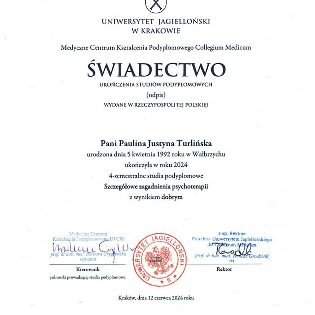 Powiększ obraz: certificate 1