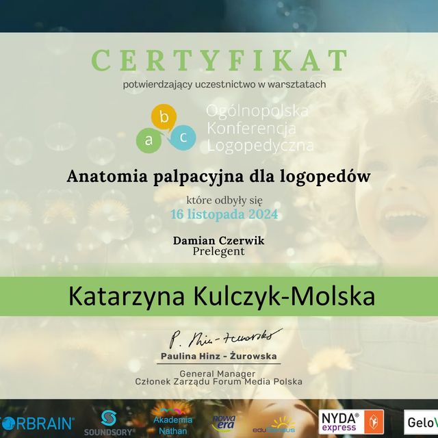 Powiększ obraz: certificate 2