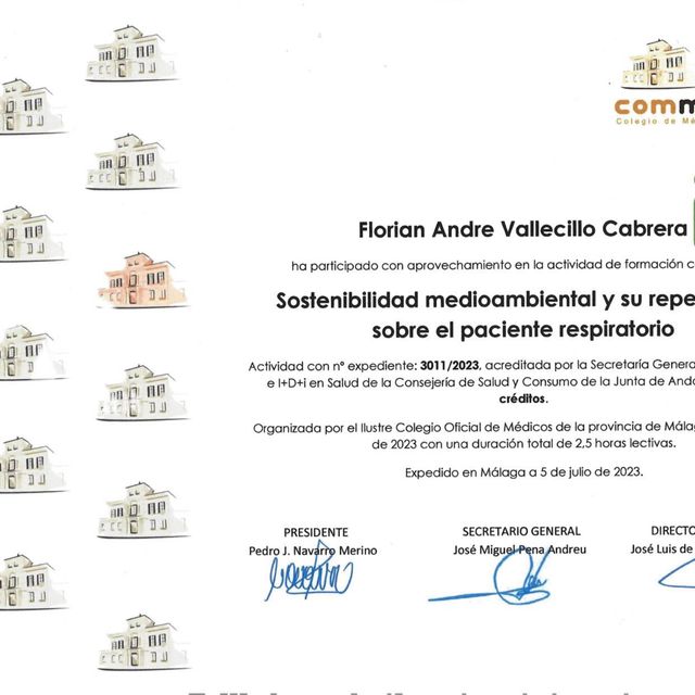 Acercar imagen: certificate 11