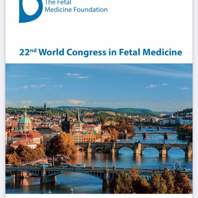 Powiększ obraz: certificate 110