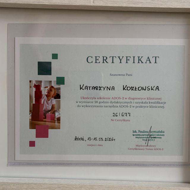Powiększ obraz: certificate 1