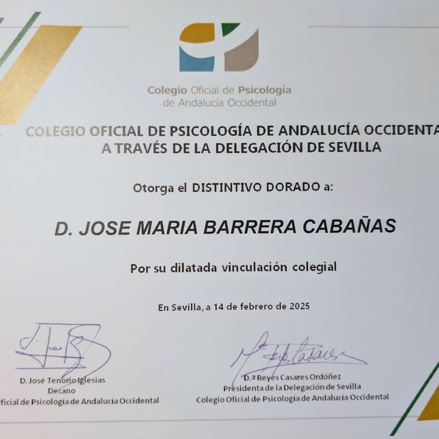 Acercar imagen: certificate 9