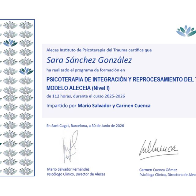 Acercar imagen: certificate 7