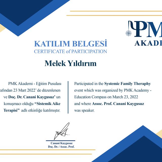Resmi büyüt: certificate 6