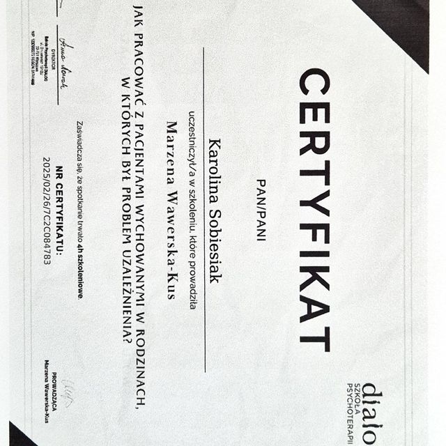 Powiększ obraz: certificate 1
