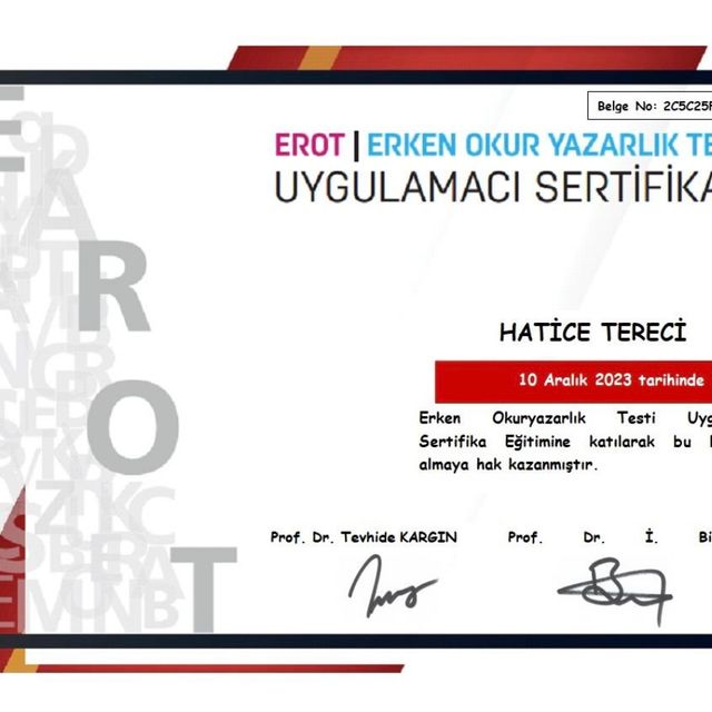 Resmi büyüt: certificate 41