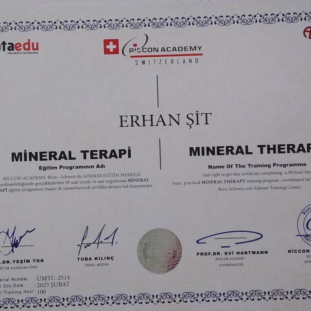 Resmi büyüt: certificate 3