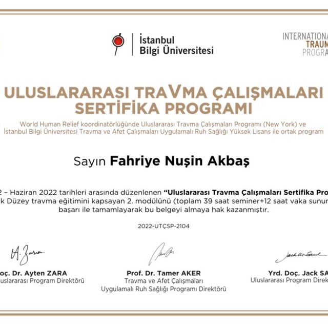 Resmi büyüt: certificate 1