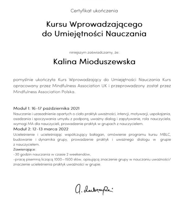 Powiększ obraz: certificate 5