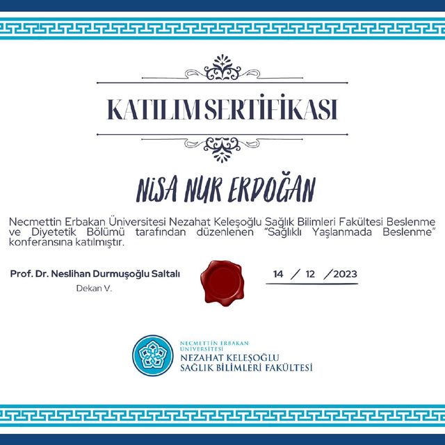 Resmi büyüt: certificate 6