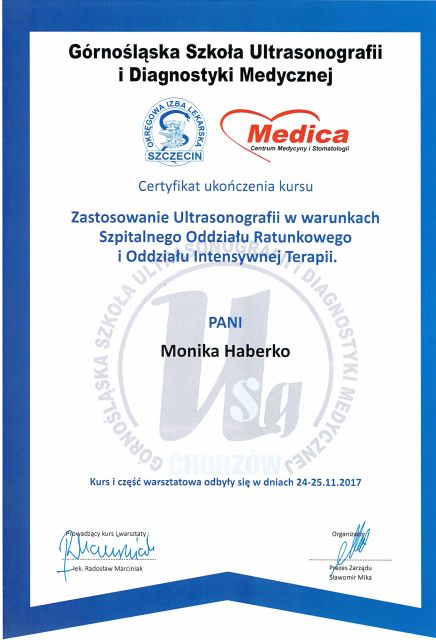 Powiększ obraz: certificate 4