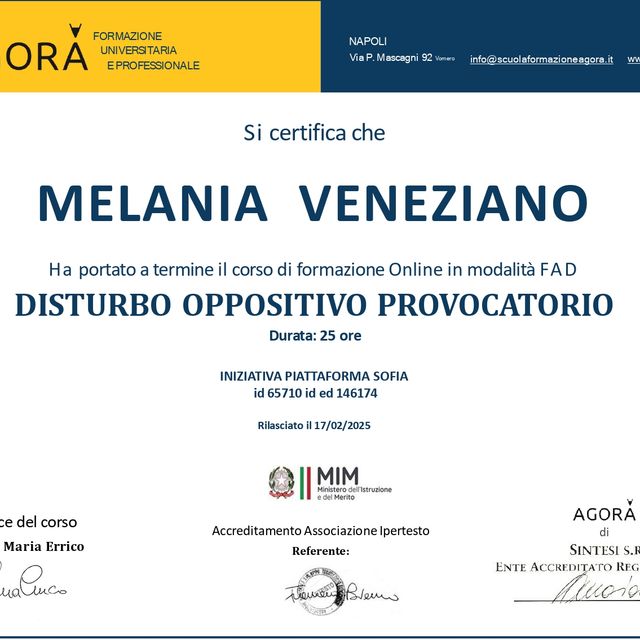 Ingrandire l'immagine: certificate 7