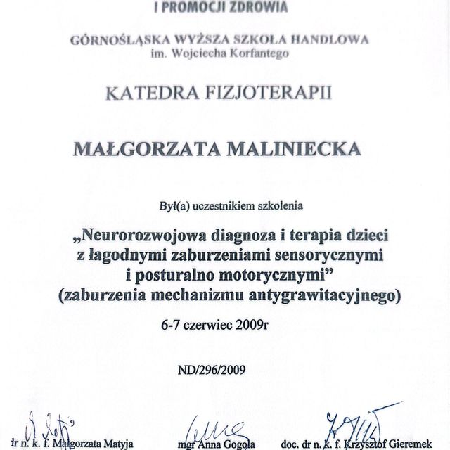 Powiększ obraz: certificate 1