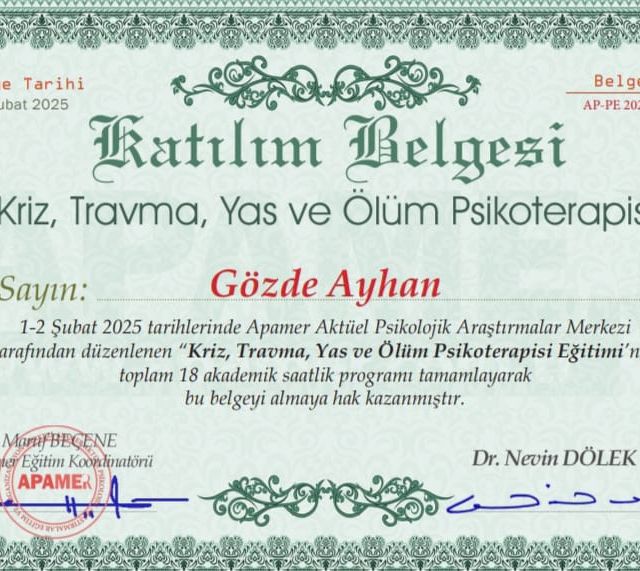Resmi büyüt: certificate 3