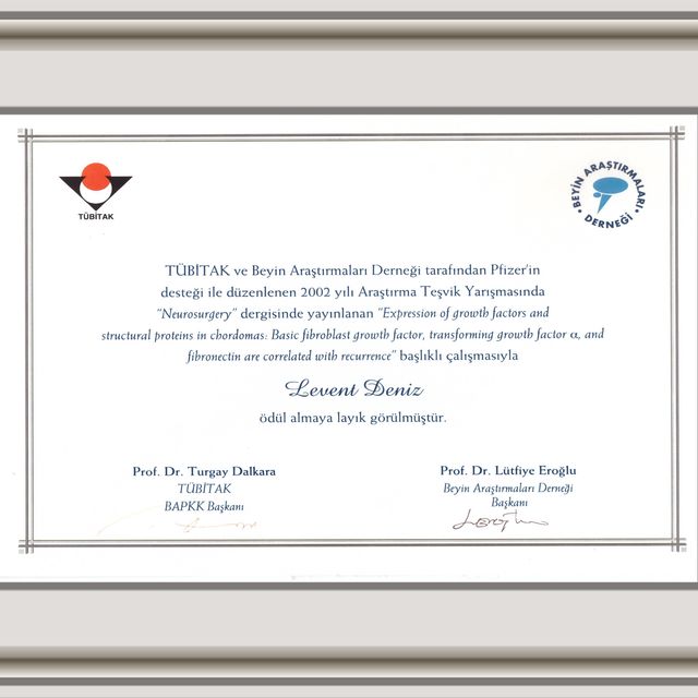 Resmi büyüt: certificate 3