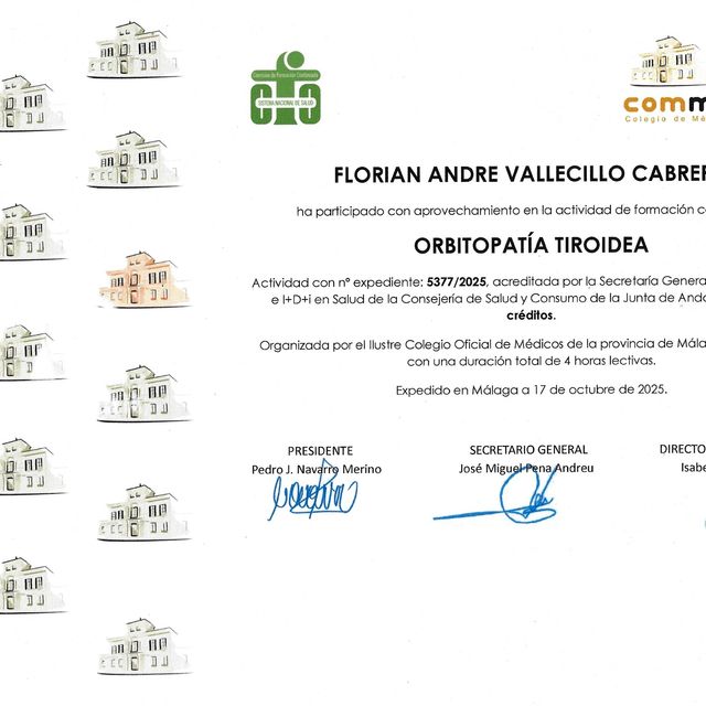 Acercar imagen: certificate 21