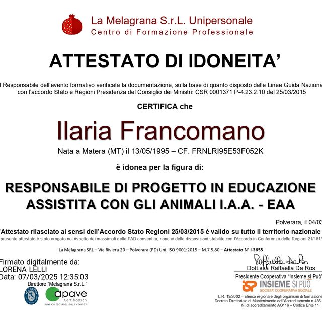 Ingrandire l'immagine: certificate 3