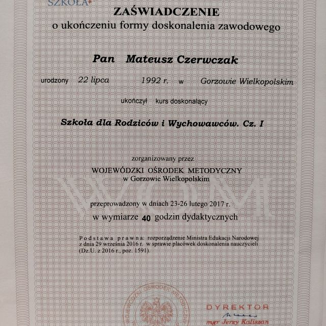 Powiększ obraz: certificate 1
