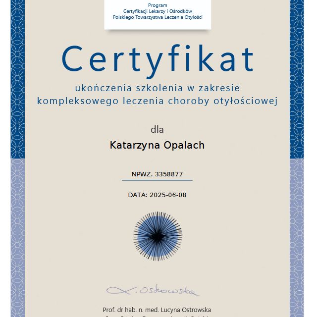 Powiększ obraz: certificate 2
