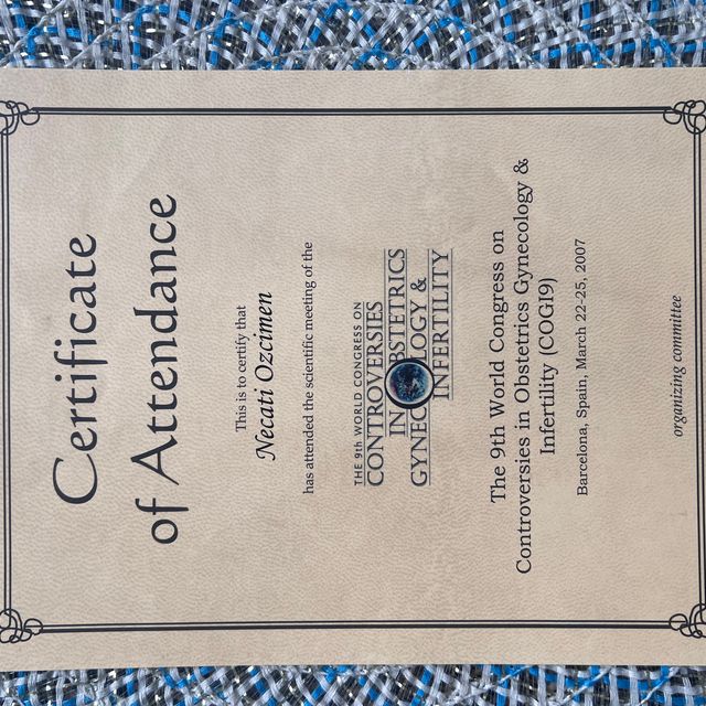 Resmi büyüt: certificate 2