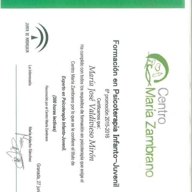 Acercar imagen: certificate 3