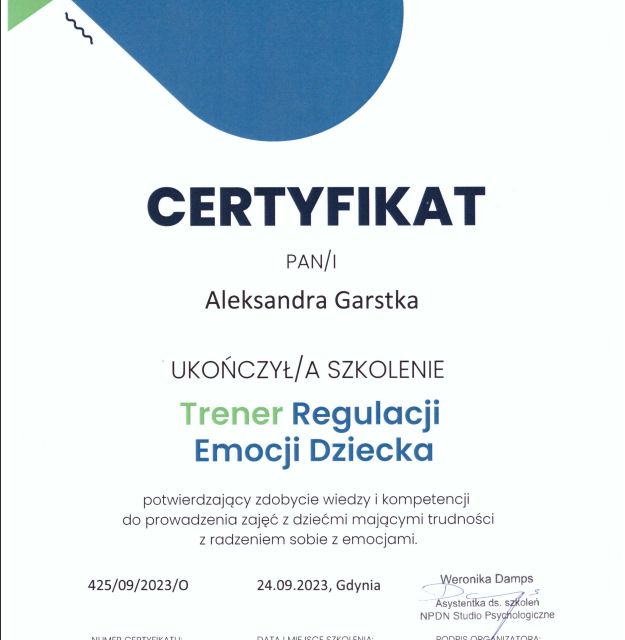 Powiększ obraz: certificate 2