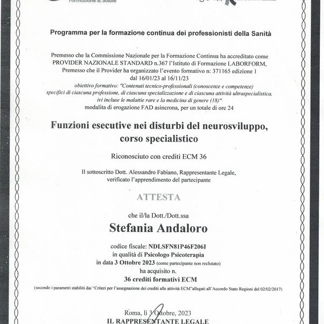 Ingrandire l'immagine: certificate 1