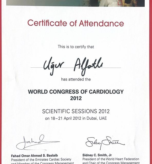 Resmi büyüt: certificate 20