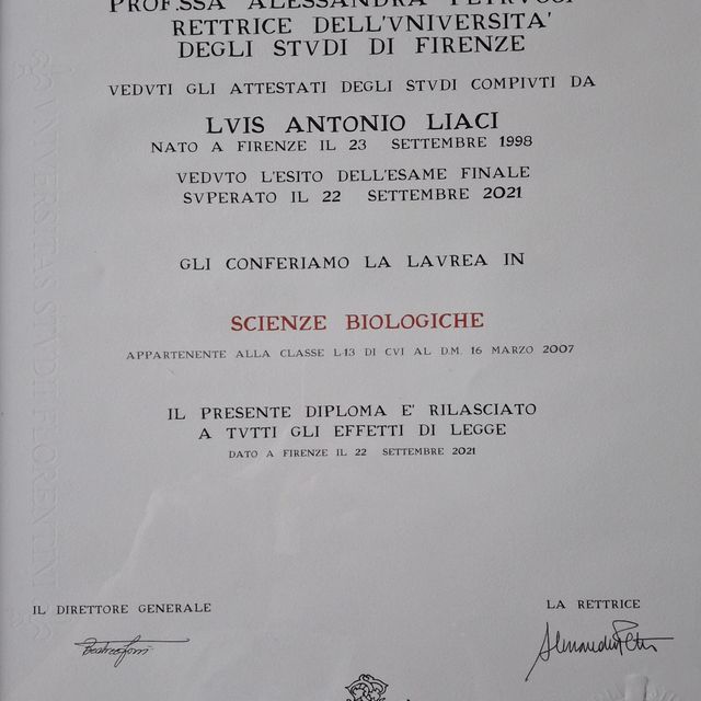 Ingrandire l'immagine: certificate 1