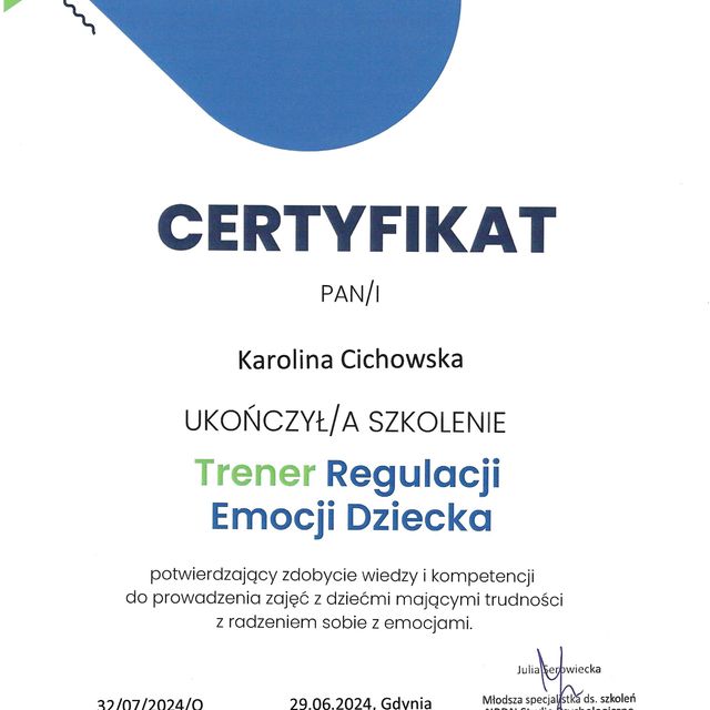 Powiększ obraz: certificate 6