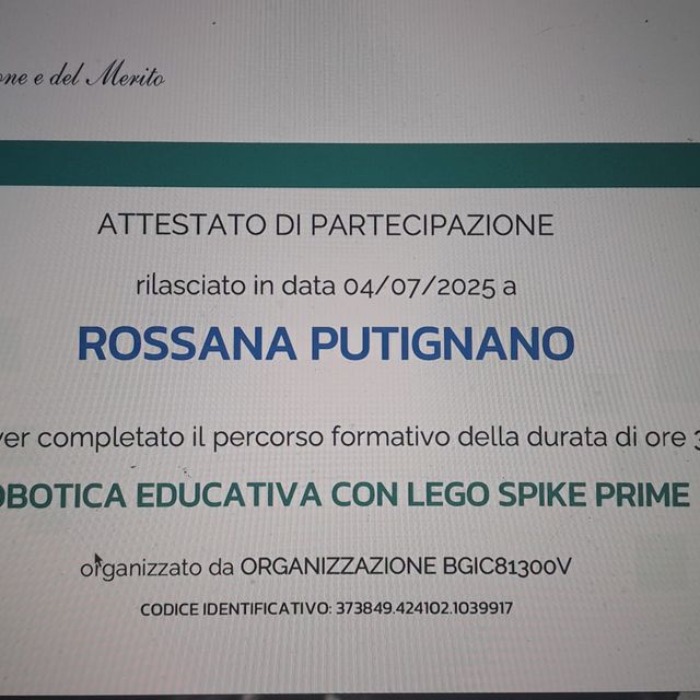 Ingrandire l'immagine: certificate 11