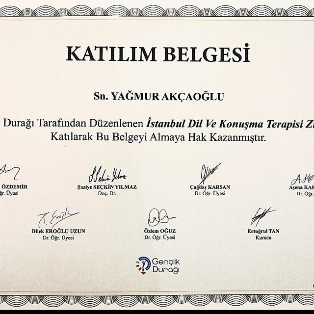 Resmi büyüt: certificate 16