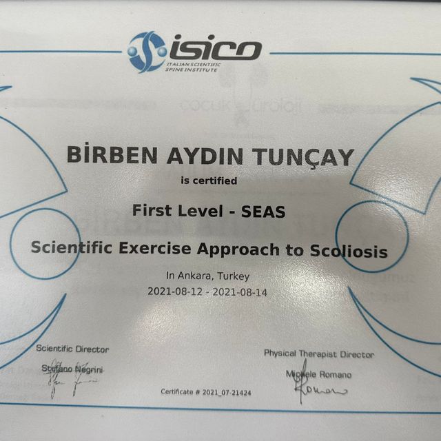 Resmi büyüt: certificate 1