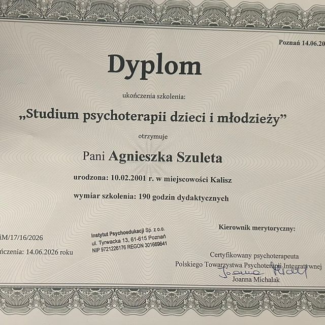Powiększ obraz: certificate 1