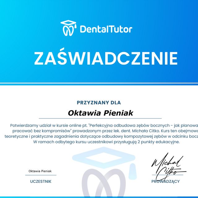 Powiększ obraz: certificate 2