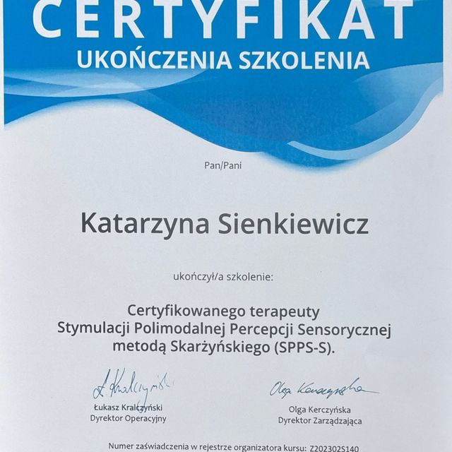 Powiększ obraz: certificate 27
