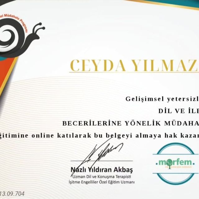 Resmi büyüt: certificate 3