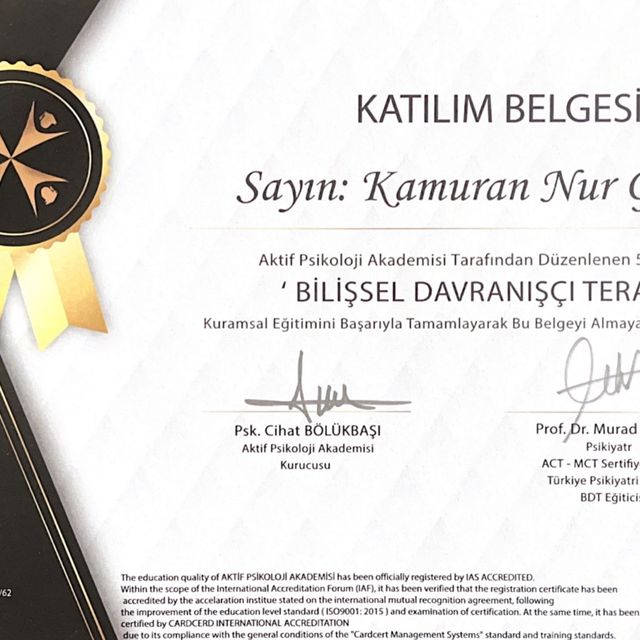 Resmi büyüt: certificate 3